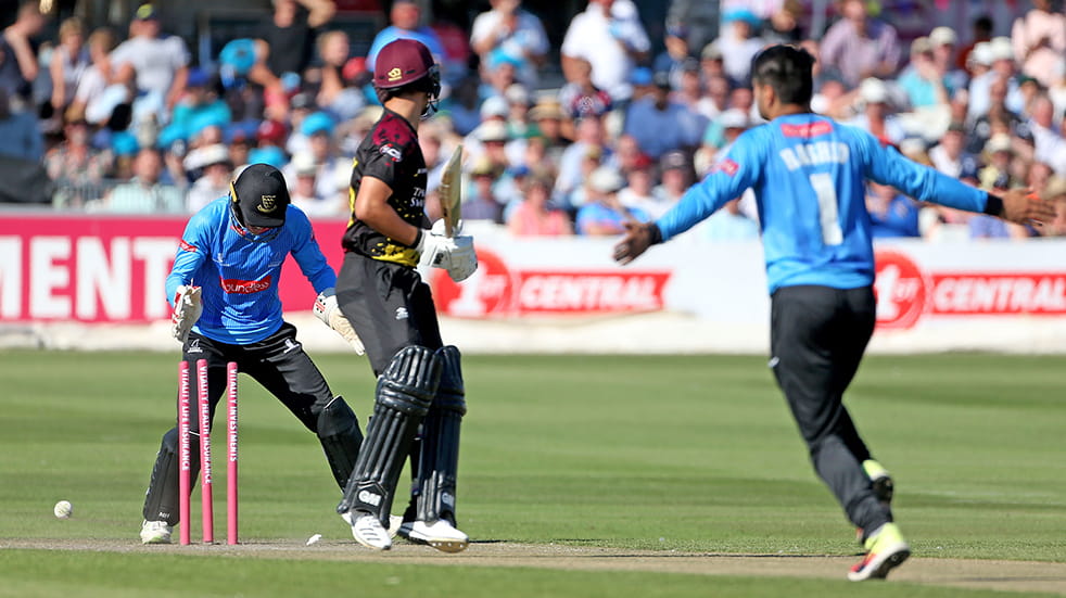 Meet Rashid Khan: Sussex Sharks T20 bowler takes wicket